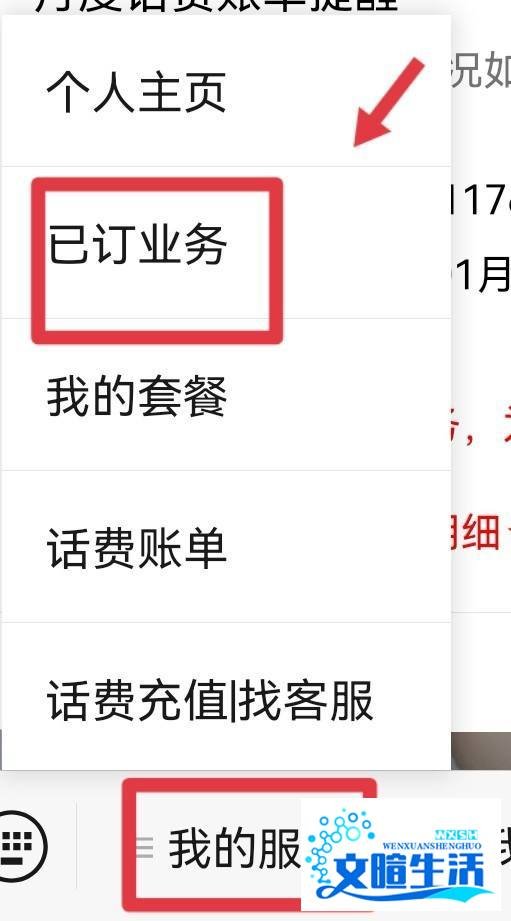 固定电话费用怎么查询