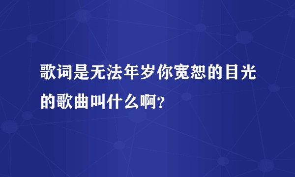 歌词是无法年岁你宽恕的目光的歌曲叫什么啊？