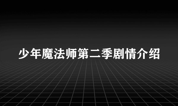 少年魔法师第二季剧情介绍