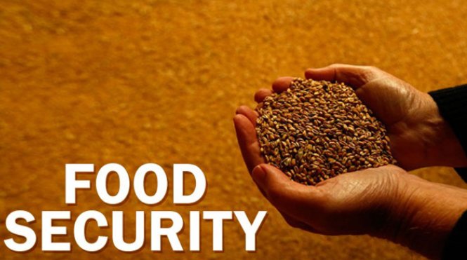 food safety和food security有什么区别吗？