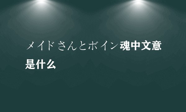 メイドさんとボイン魂中文意是什么