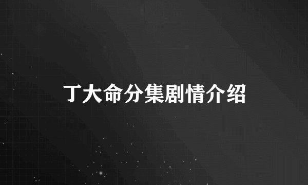丁大命分集剧情介绍