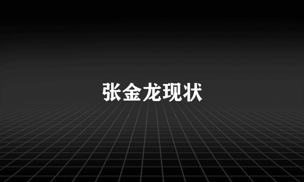 张金龙现状