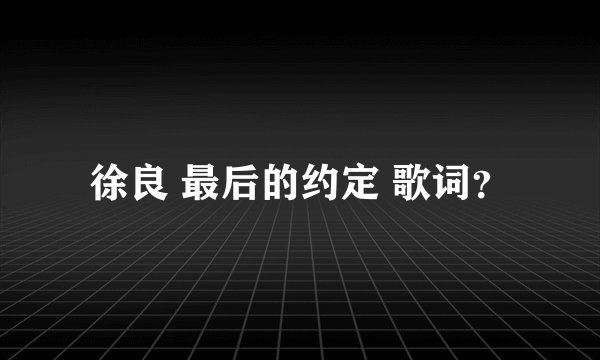 徐良 最后的约定 歌词？