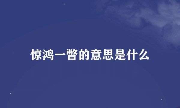 惊鸿一瞥的意思是什么