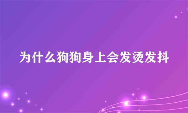 为什么狗狗身上会发烫发抖