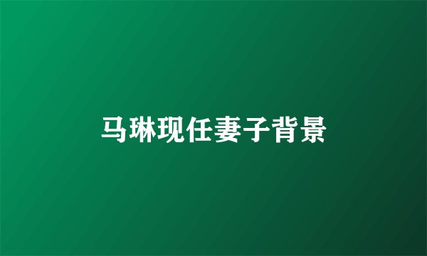 马琳现任妻子背景