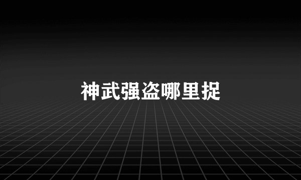 神武强盗哪里捉
