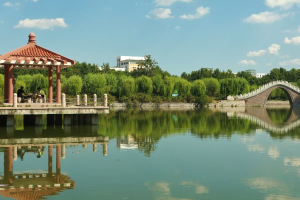 青岛农业大学2023投档线是多少