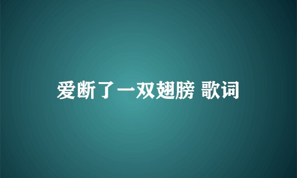 爱断了一双翅膀 歌词