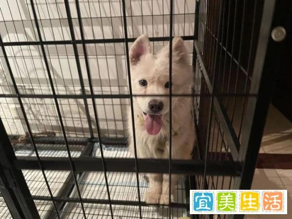 这是