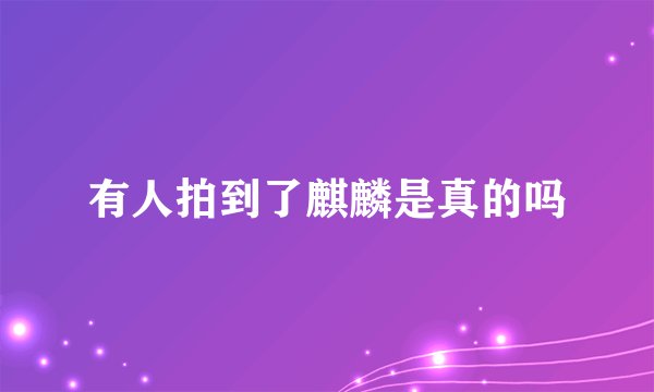 有人拍到了麒麟是真的吗