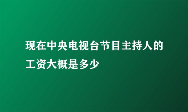 现在中央电视台节目主持人的工资大概是多少