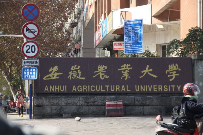 安徽农业大学十教在哪里