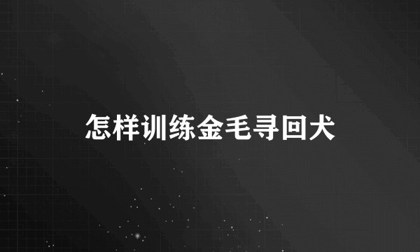 怎样训练金毛寻回犬