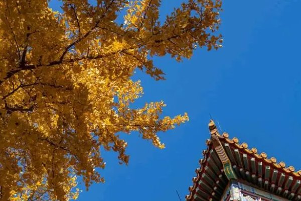 七月初一什么意思