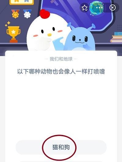 哪种动物也会像人一样打喷嚏？
