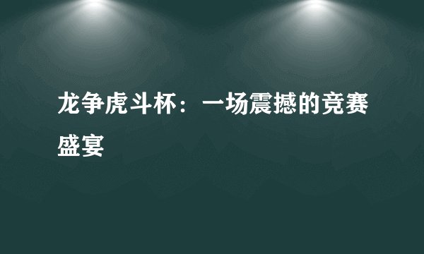 龙争虎斗杯：一场震撼的竞赛盛宴