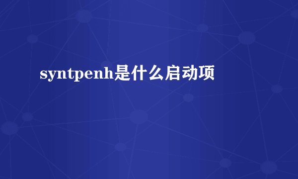 syntpenh是什么启动项