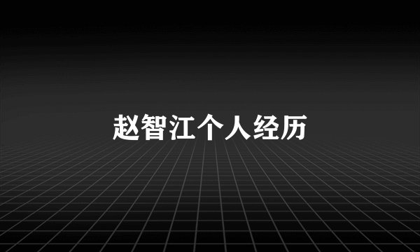 赵智江个人经历