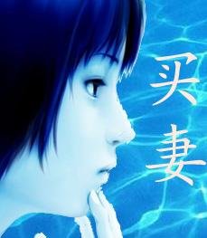 农村家庭暴力长篇《买妻》的人物介绍