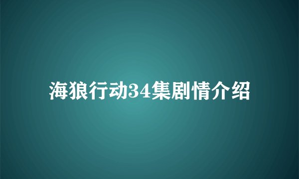海狼行动34集剧情介绍