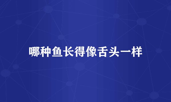 哪种鱼长得像舌头一样