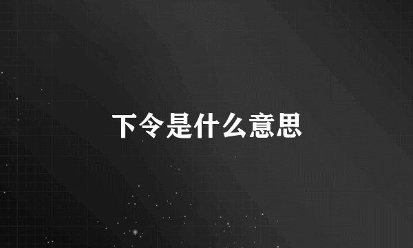 下令是什么意思