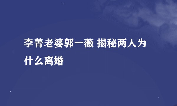 李菁老婆郭一薇 揭秘两人为什么离婚