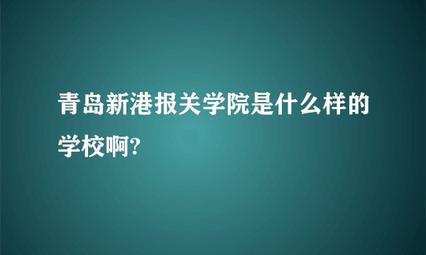 青岛新港报关学院是什么样的学校啊?