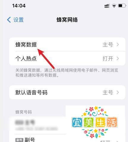 苹果手机的流量开关在哪里