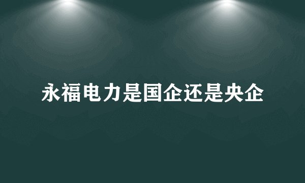 永福电力是国企还是央企
