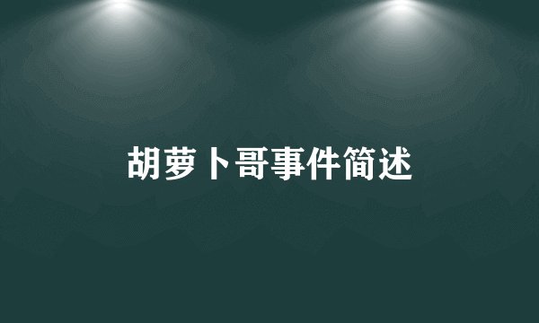 胡萝卜哥事件简述