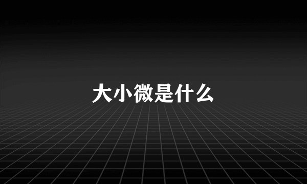 大小微是什么
