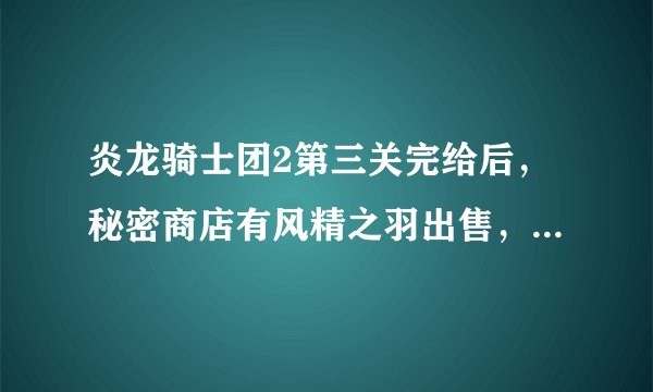 炎龙骑士团2第三关完给后，秘密商店有风精之羽出售，2万一个，但身上最多只有7749元，