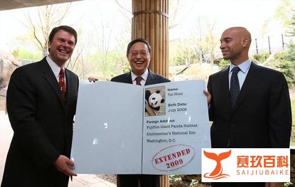 大熊猫丫丫回国仍在等美国审批,难道美国只准备还给我们遗体吗?