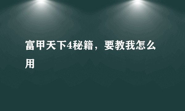 富甲天下4秘籍，要教我怎么用