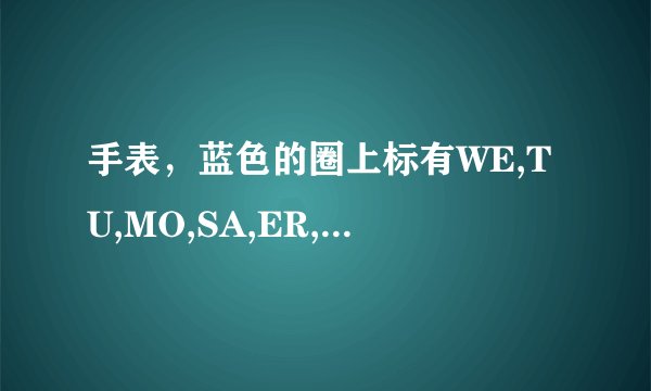 手表，蓝色的圈上标有WE,TU,MO,SA,ER,TH是干嘛用的？