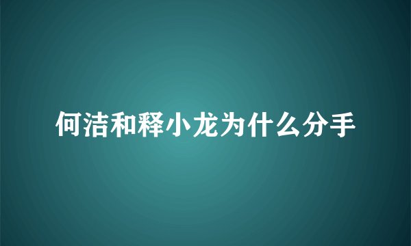 何洁和释小龙为什么分手