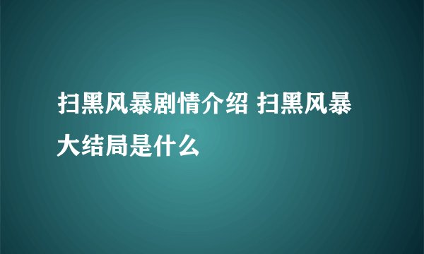 扫黑风暴剧情介绍 扫黑风暴大结局是什么