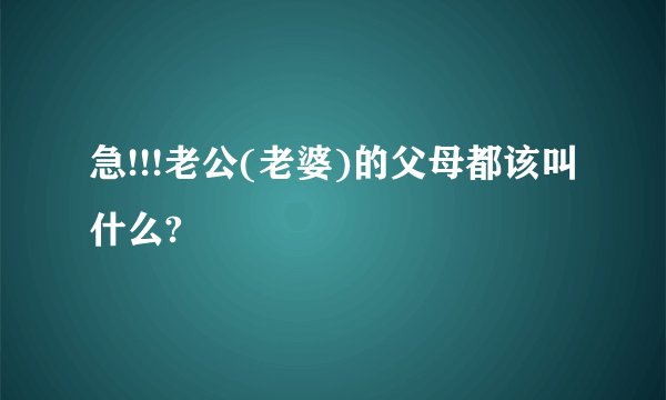 急!!!老公(老婆)的父母都该叫什么?