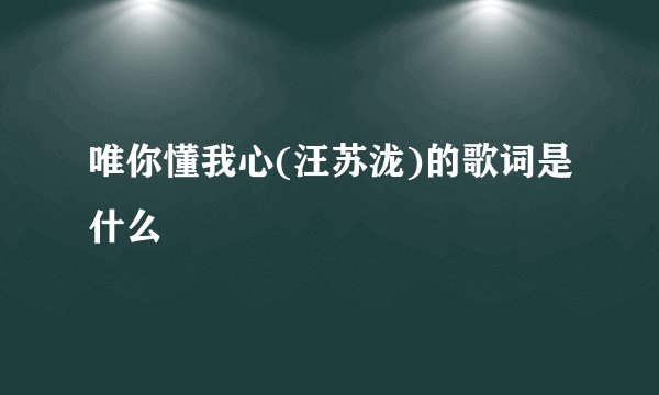 唯你懂我心(汪苏泷)的歌词是什么