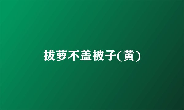 拔萝不盖被子(黄)