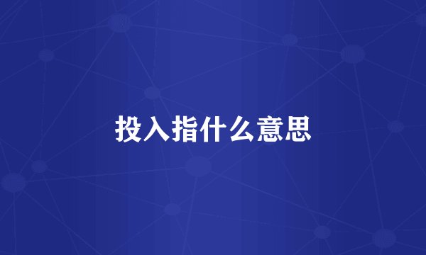 投入指什么意思