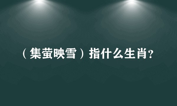 （集萤映雪）指什么生肖？