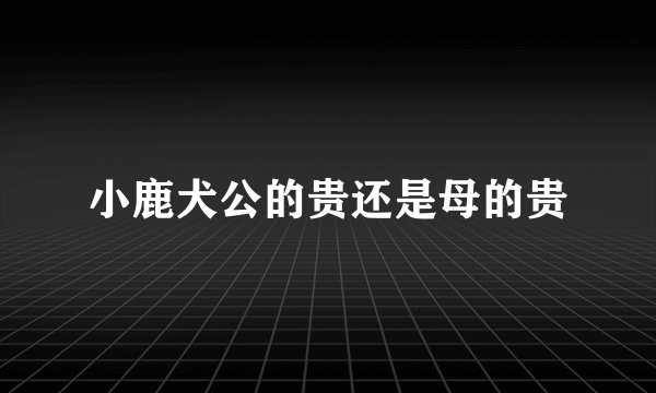 小鹿犬公的贵还是母的贵