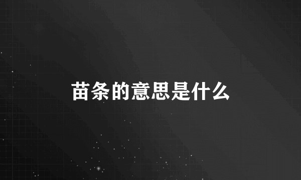 苗条的意思是什么