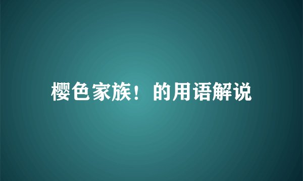 樱色家族！的用语解说