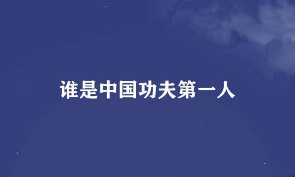 谁是中国功夫第一人