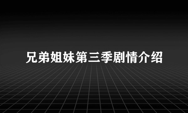 兄弟姐妹第三季剧情介绍
